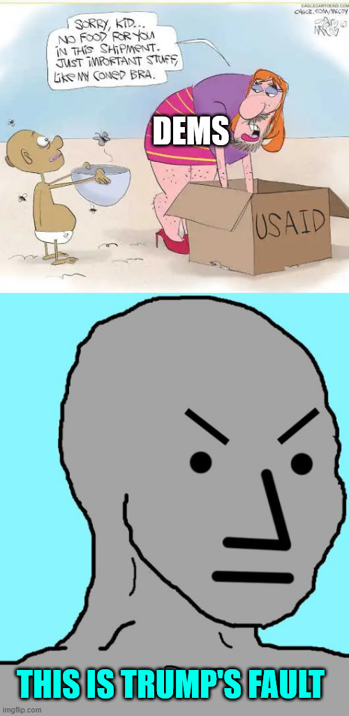 DEMS THIS IS TRUMP'S FAULT | image tagged in npc meme angry | made w/ Imgflip meme maker