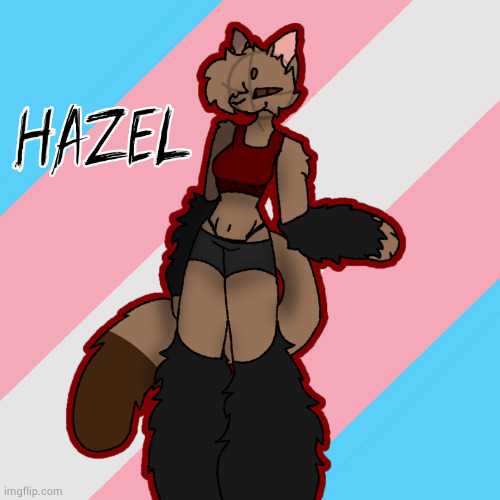 My new trans girl oc Hazel! (drawing by Alexthetransgenderfreak on ibispaint) | made w/ Imgflip meme maker