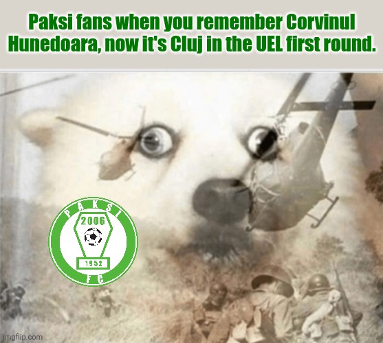 RIP Paksi again, CFR's stronger lol | Paksi fans when you remember Corvinul Hunedoara, now it's Cluj in the UEL first round. | image tagged in ptsd dog,paksi,cfr cluj,europa league,funny,soccer | made w/ Imgflip meme maker