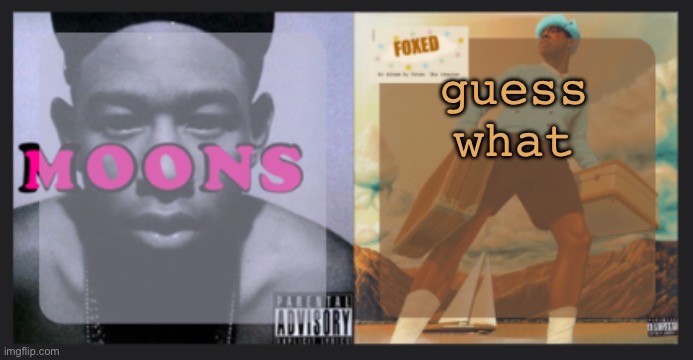 moons and foxed shared temp | guess what | image tagged in moons and foxed shared temp | made w/ Imgflip meme maker