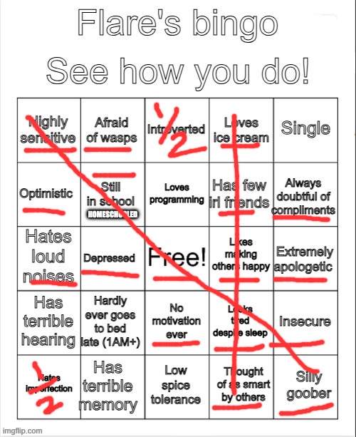 I made an autistic X | HOMESCHOOLED | image tagged in flare's bingo | made w/ Imgflip meme maker