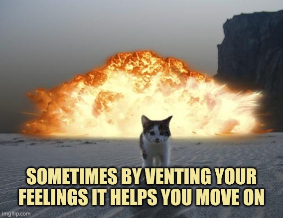 Sometimes by venting your feelings it helps you move on | SOMETIMES BY VENTING YOUR FEELINGS IT HELPS YOU MOVE ON | image tagged in emotions,feelings,venting | made w/ Imgflip meme maker