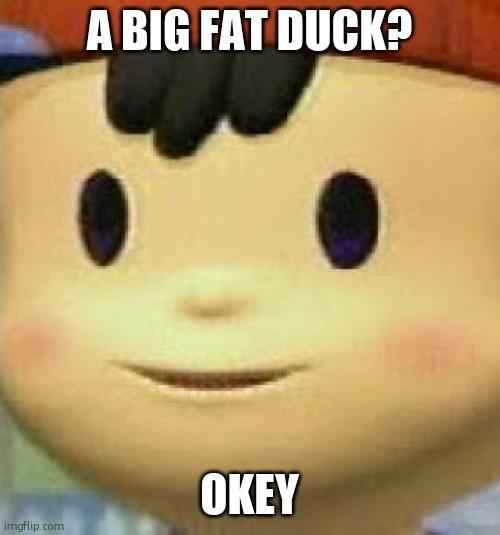Ness Face | A BIG FAT DUCK? OKEY | image tagged in ness face | made w/ Imgflip meme maker
