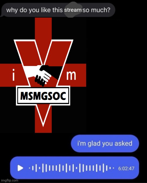 Why do you like this game so much? | stream | image tagged in why do you like this game so much | made w/ Imgflip meme maker