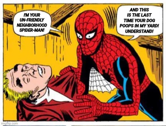 Your UN-FRIENDLY Neighborhood Spider-Man | AND THIS IS THE LAST TIME YOUR DOG POOPS IN MY YARD!
UNDERSTAND! I'M YOUR
UN-FRIENDLY
NEIGHBORHOOD
SPIDER-MAN! | image tagged in spiderman | made w/ Imgflip meme maker
