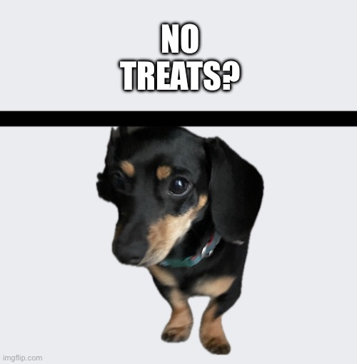 No __________? | NO TREATS? | image tagged in no __________ | made w/ Imgflip meme maker