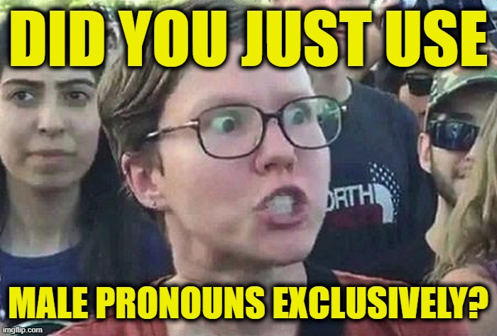 Triggered Liberal | DID YOU JUST USE MALE PRONOUNS EXCLUSIVELY? | image tagged in triggered liberal | made w/ Imgflip meme maker