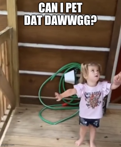 can i pet that dawg | CAN I PET DAT DAWWGG? | image tagged in can i pet that dawg | made w/ Imgflip meme maker