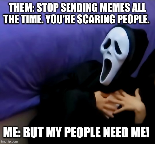 Memes | THEM: STOP SENDING MEMES ALL THE TIME. YOU'RE SCARING PEOPLE. ME: BUT MY PEOPLE NEED ME! | image tagged in weird stuff | made w/ Imgflip meme maker