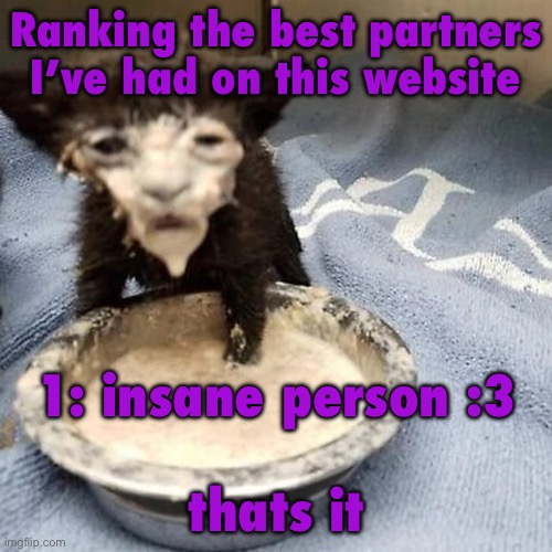 Since everyone is doing it | Ranking the best partners I’ve had on this website; 1: insane person :3
 
thats it | image tagged in pie 3 | made w/ Imgflip meme maker