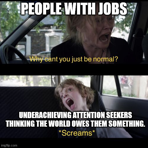 Abnormal | PEOPLE WITH JOBS; UNDERACHIEVING ATTENTION SEEKERS THINKING THE WORLD OWES THEM SOMETHING. | image tagged in why can't you be normal,attention seeker,activist,burden on society | made w/ Imgflip meme maker