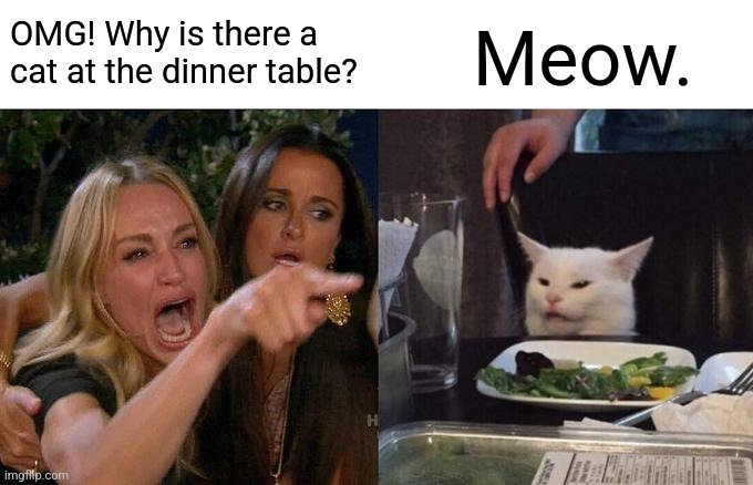 woman yelling at cat | OMG! Why is there a cat at the dinner table? Meow. | image tagged in memes,woman yelling at cat | made w/ Imgflip meme maker