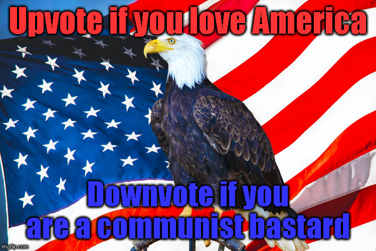 Upvote if you love America; Downvote if you are a communist bastard | made w/ Imgflip meme maker