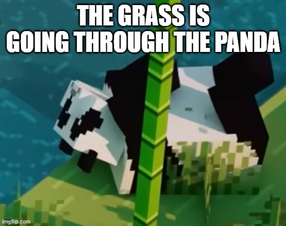 Already found a mistake in the new Chase the Skies trailer | THE GRASS IS GOING THROUGH THE PANDA | made w/ Imgflip meme maker