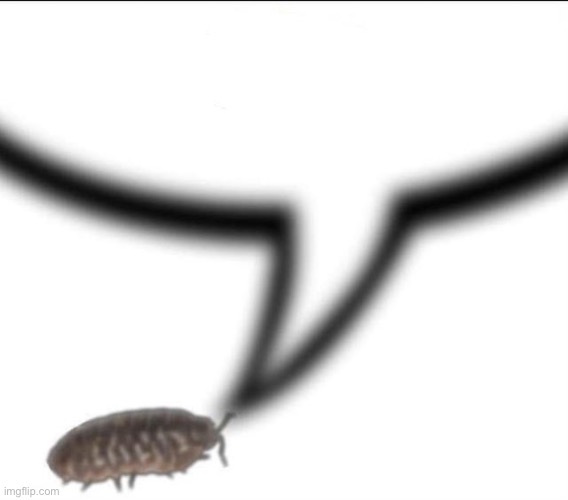 Isopod wants item | image tagged in isopod wants item | made w/ Imgflip meme maker