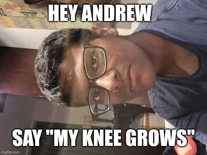 Owu face | HEY ANDREW; SAY "MY KNEE GROWS" | image tagged in owu face | made w/ Imgflip meme maker