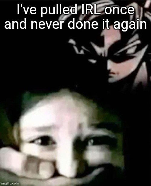 henamnoyminoy -doodlebob | I've pulled IRL once and never done it again | image tagged in goku kidnap | made w/ Imgflip meme maker