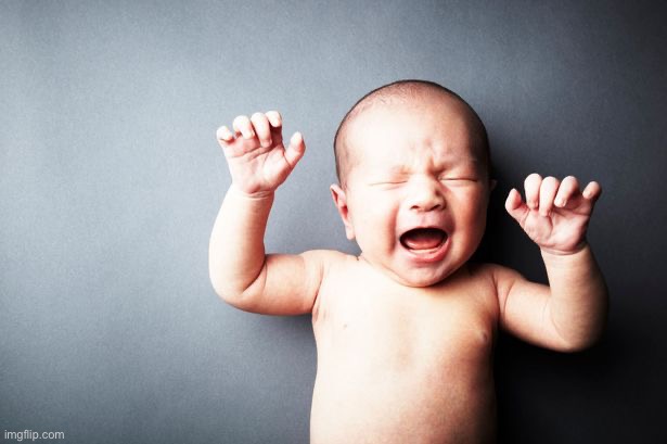 Bro is 2 days old and still single smh | image tagged in newborn baby | made w/ Imgflip meme maker