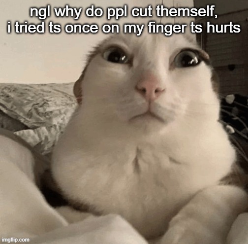 goober | ngl why do ppl cut themself, i tried ts once on my finger ts hurts | image tagged in goober | made w/ Imgflip meme maker
