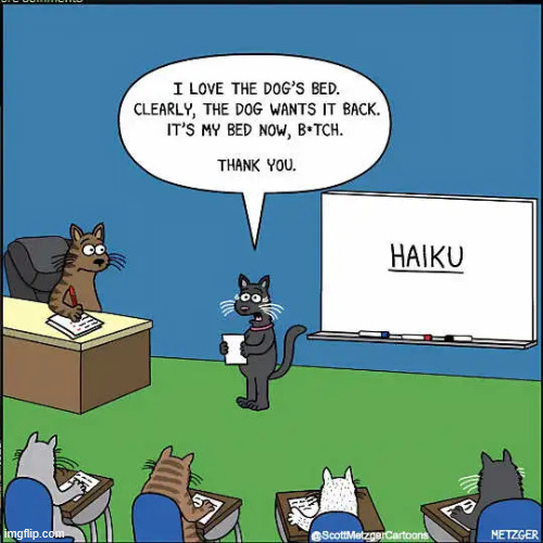 More like hijack | image tagged in repost,haiku,more like,hijack | made w/ Imgflip meme maker