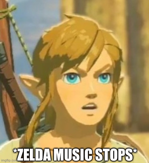 Offended Link | *ZELDA MUSIC STOPS* | image tagged in offended link | made w/ Imgflip meme maker