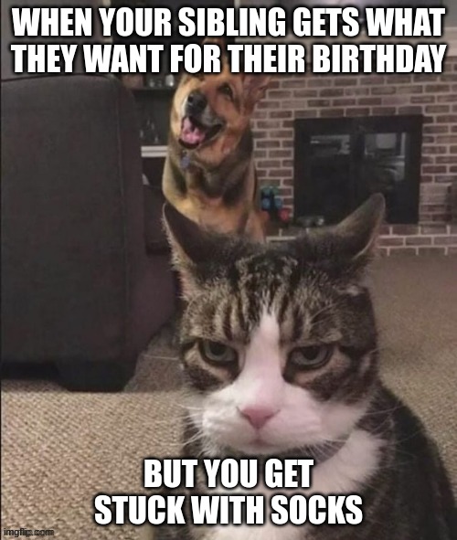 Happy Dog and Annoyed Cat | WHEN YOUR SIBLING GETS WHAT THEY WANT FOR THEIR BIRTHDAY; BUT YOU GET STUCK WITH SOCKS | image tagged in happy dog and annoyed cat | made w/ Imgflip meme maker