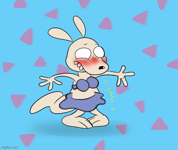 Rocko wearing a bikini | image tagged in crossdressing,rocko's modern life,bikini | made w/ Imgflip meme maker