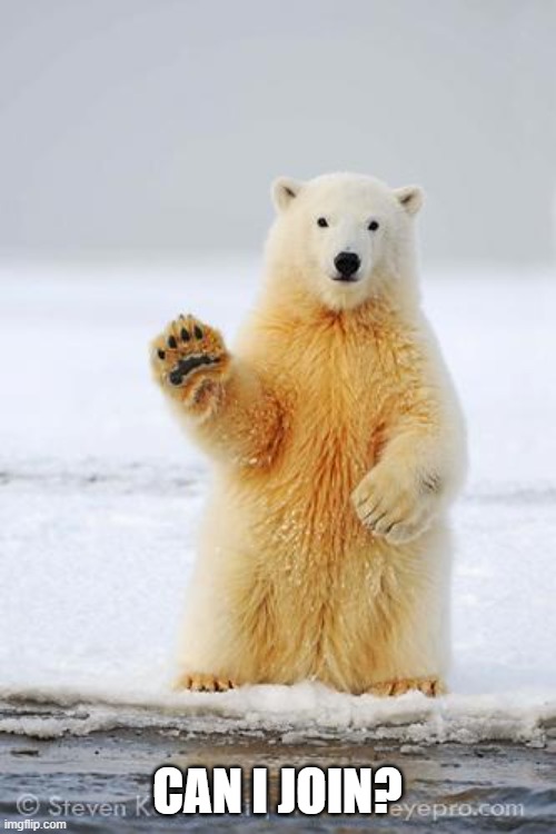 CAN I JOIN? | image tagged in hello polar bear | made w/ Imgflip meme maker