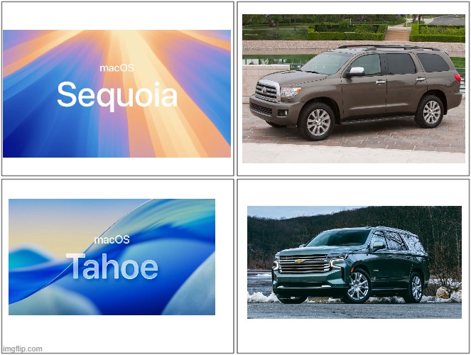 Apple's Recent Mac OS names be like. | image tagged in memes,blank comic panel 2x2,apple,apple inc | made w/ Imgflip meme maker