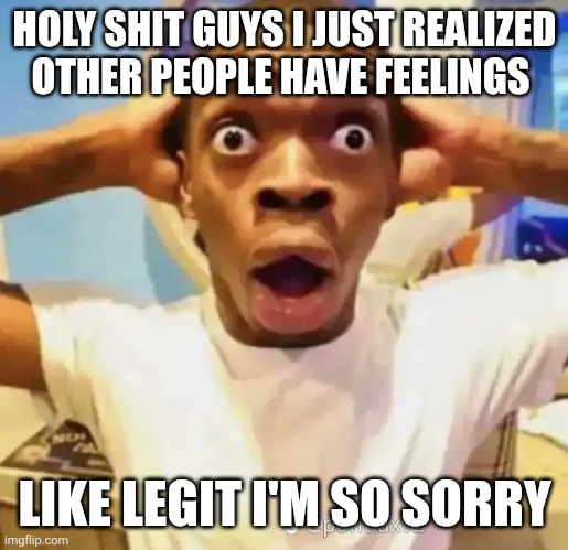 Shocked black guy | HOLY SHIT GUYS I JUST REALIZED OTHER PEOPLE HAVE FEELINGS; LIKE LEGIT I'M SO SORRY | image tagged in shocked black guy | made w/ Imgflip meme maker
