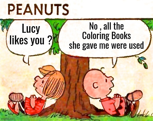 Peanuts Charlie Brown Peppermint Patty | Lucy likes you ? No , all the Coloring Books she gave me were used | image tagged in peanuts charlie brown peppermint patty | made w/ Imgflip meme maker