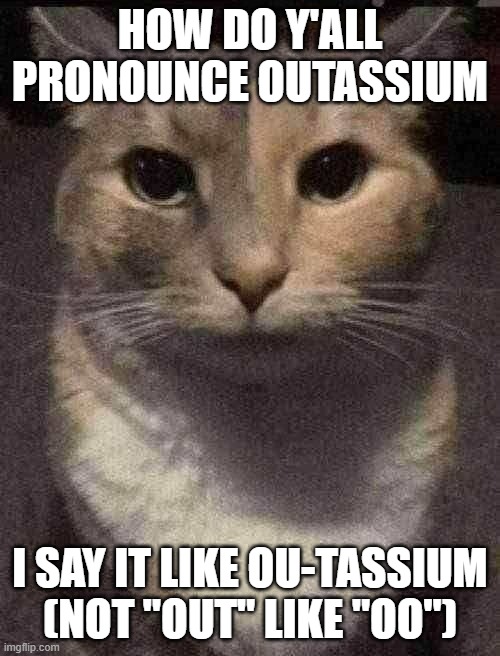 Lego, Get The Out (I eated the out - PF) | HOW DO Y'ALL PRONOUNCE OUTASSIUM; I SAY IT LIKE OU-TASSIUM (NOT "OUT" LIKE "OO") | image tagged in cat dead stare,sans of topic | made w/ Imgflip meme maker