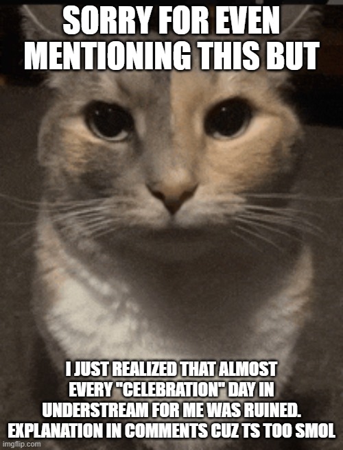 cat dead stare | SORRY FOR EVEN MENTIONING THIS BUT; I JUST REALIZED THAT ALMOST EVERY "CELEBRATION" DAY IN UNDERSTREAM FOR ME WAS RUINED. EXPLANATION IN COMMENTS CUZ TS TOO SMOL | image tagged in cat dead stare,sans of topic | made w/ Imgflip meme maker