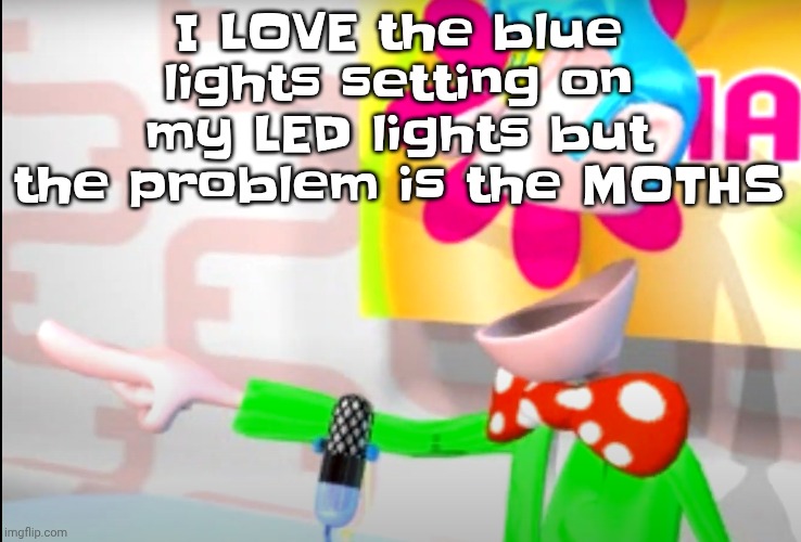 BITCH!!!!!! | I LOVE the blue lights setting on my LED lights but the problem is the MOTHS | image tagged in bitch | made w/ Imgflip meme maker