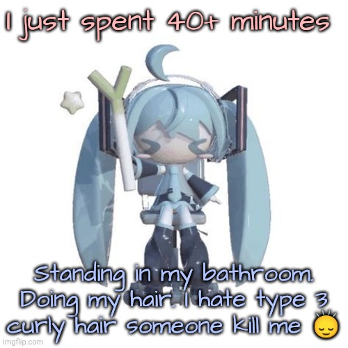 And now I gotta wait 5+ hours for my hair to dry | I just spent 40+ minutes; Standing in my bathroom. Doing my hair. I hate type 3 curly hair someone kill me 🙂‍↕️ | image tagged in p | made w/ Imgflip meme maker