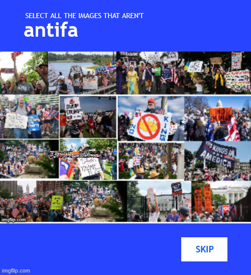 MTG Fails the test not human | antifa; SELECT ALL THE IMAGES THAT AREN'T; SKIP | image tagged in mtg fails the test not human,no king,trump protests,mtg neanderthal,antifa,maga mesmerized | made w/ Imgflip meme maker