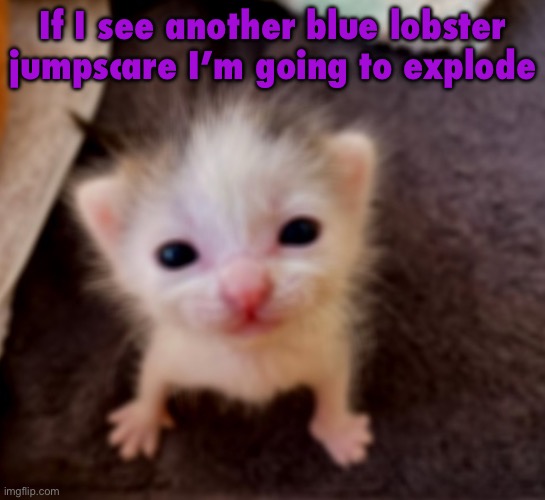 It’s fucking everywhere | If I see another blue lobster jumpscare I’m going to explode | image tagged in silly goober 3 | made w/ Imgflip meme maker