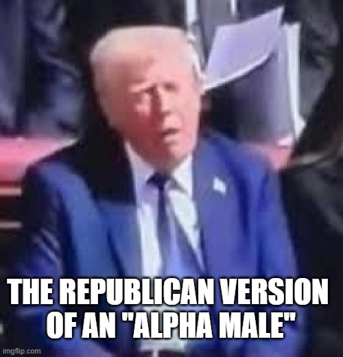 THE REPUBLICAN VERSION 
OF AN "ALPHA MALE" | image tagged in trump,asleep | made w/ Imgflip meme maker
