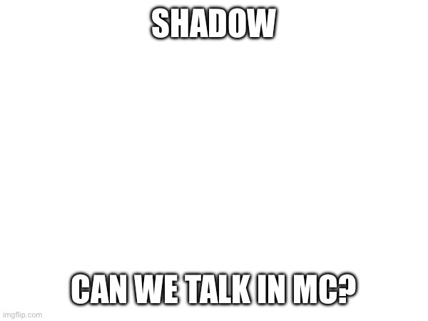 SHADOW; CAN WE TALK IN MC? | made w/ Imgflip meme maker