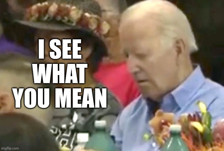 I SEE
WHAT
YOU MEAN | made w/ Imgflip meme maker