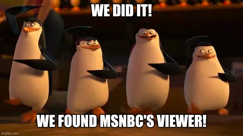 penguins of madagascar | WE DID IT! WE FOUND MSNBC'S VIEWER! | image tagged in penguins of madagascar | made w/ Imgflip meme maker