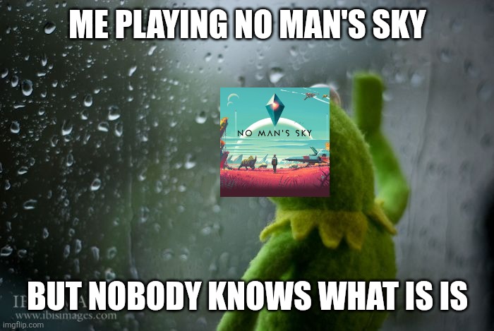 kermit window | ME PLAYING NO MAN'S SKY; BUT NOBODY KNOWS WHAT IS IS | image tagged in kermit window | made w/ Imgflip meme maker