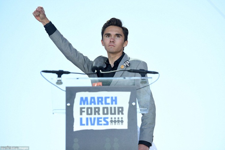 Heil David Hogg | image tagged in heil david hogg | made w/ Imgflip meme maker