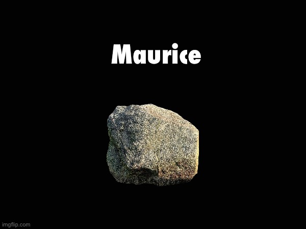 Maurice | made w/ Imgflip meme maker