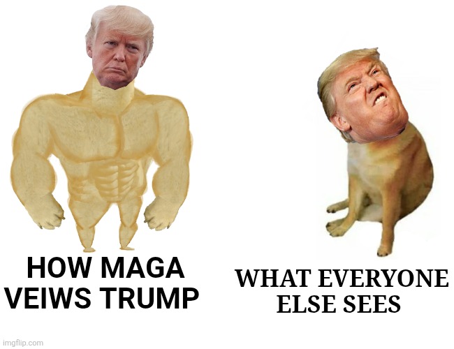 Buff Doge vs. Cheems Meme | HOW MAGA VEIWS TRUMP WHAT EVERYONE ELSE SEES | image tagged in memes,buff doge vs cheems | made w/ Imgflip meme maker
