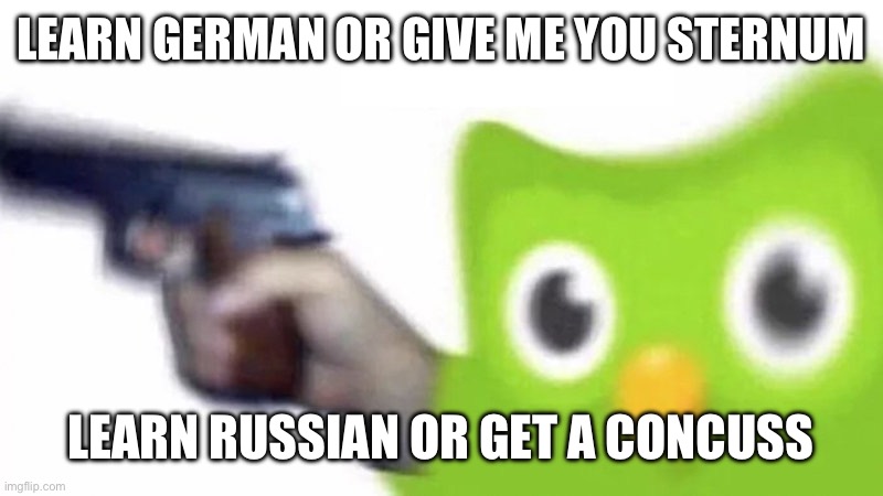 duolingo gun | LEARN GERMAN OR GIVE ME YOU STERNUM LEARN RUSSIAN OR GET A CONCUSSION | image tagged in duolingo gun | made w/ Imgflip meme maker