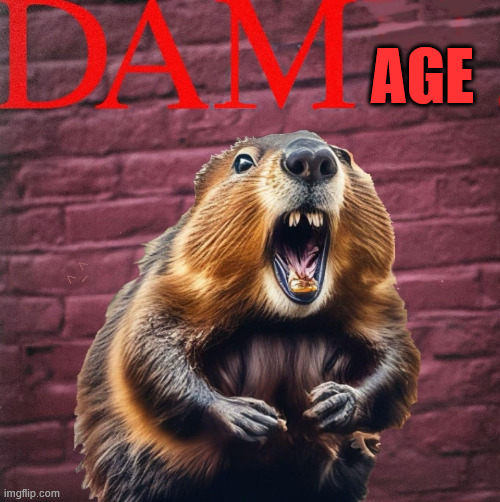 AGE | made w/ Imgflip meme maker