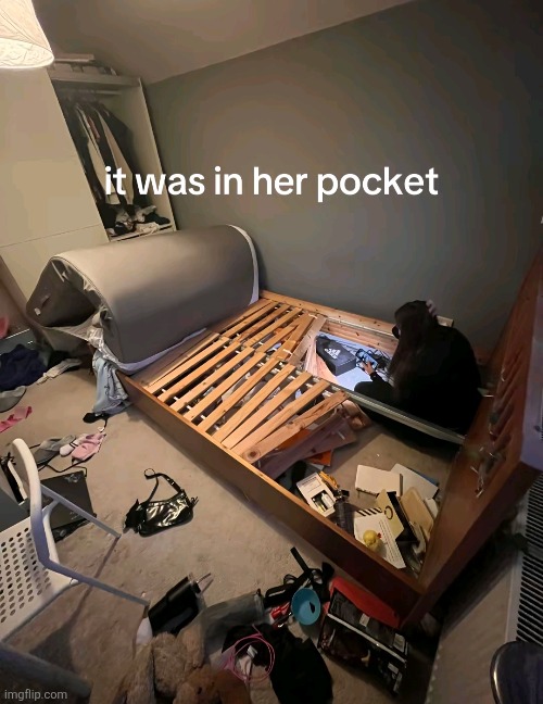 image tagged in memes | made w/ Imgflip meme maker