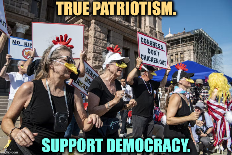 No Kings! | TRUE PATRIOTISM. SUPPORT DEMOCRACY. | image tagged in democracy,patriotism,founding fathers,constitution,no kings,trump | made w/ Imgflip meme maker