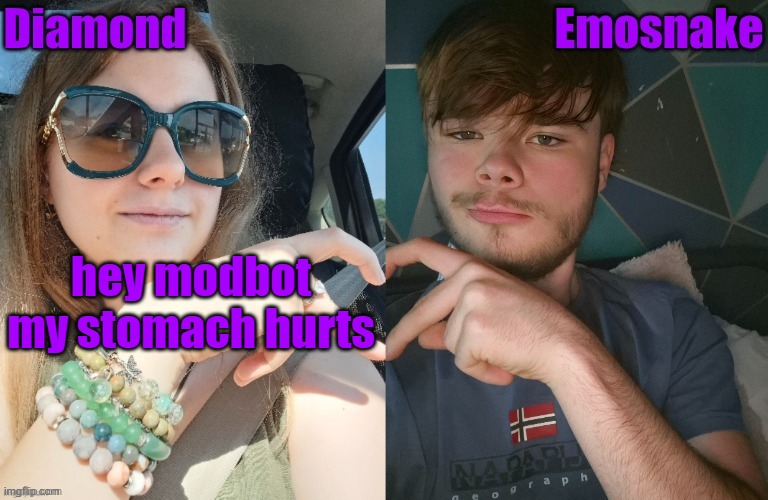 Diamond and ES shared couple temp | hey modbot my stomach hurts | image tagged in diamond and es shared couple temp | made w/ Imgflip meme maker